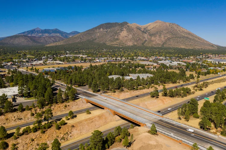 DJI_0780+_281_29 (1)